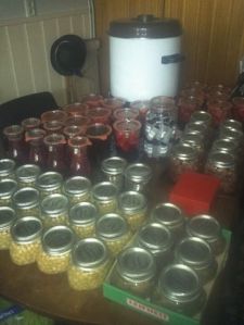 canning week 32-33